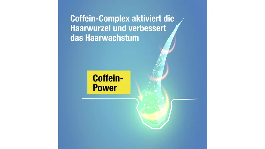 Alpecin Hybrid Coffein-Shampoo 250ml 250 ml