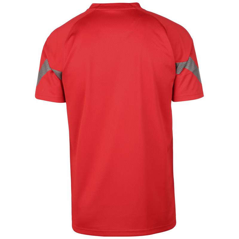 PUMA teamFinal Training Trikot Herren