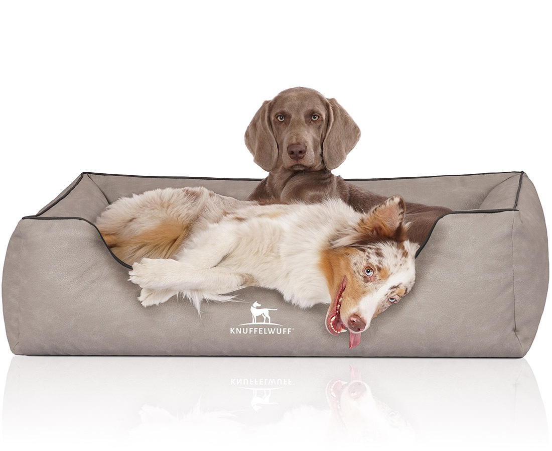 Knuffelwuff Hundebetten Knuffelwuff Hundebett Scottsdale aus Kunstleder hellgrau XL