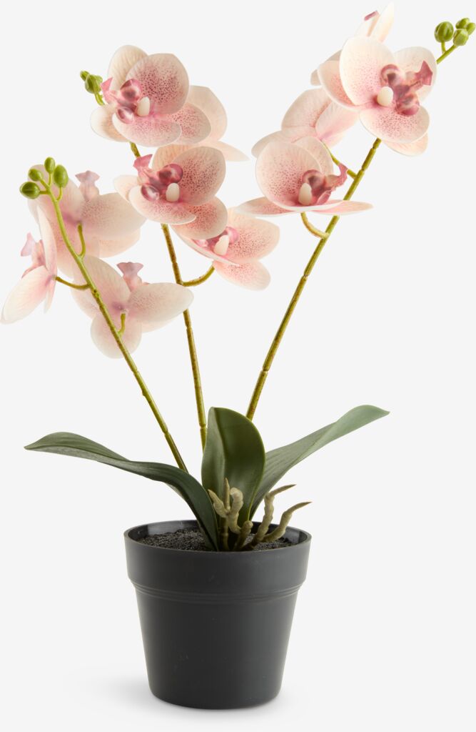GUDJON Sztuczna roślina GUDJON H35cm różowa orchidea