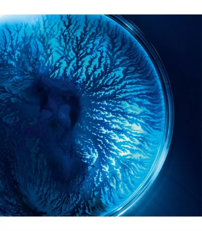 LIFE PLANKTON Masque tissu hydratant et régénérant - Essence-in-mask  6 unités