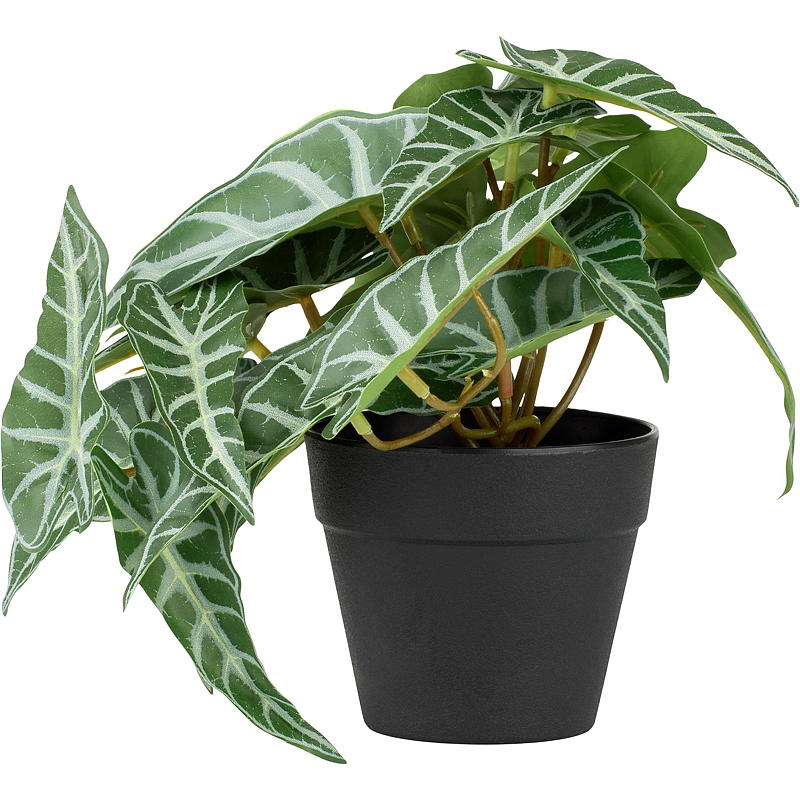 Home Grønnplante 17 cm kunstig Taro/Alocasia