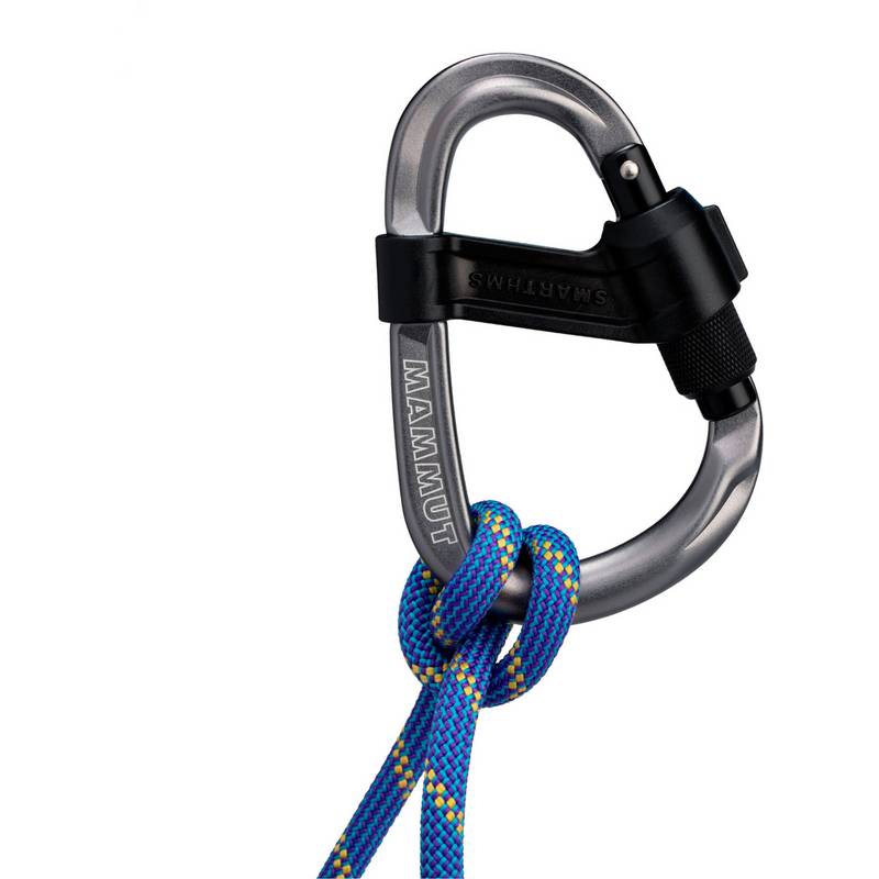 Mammut Smart HMS 2.0 Screwgate Carabiner Karabiner