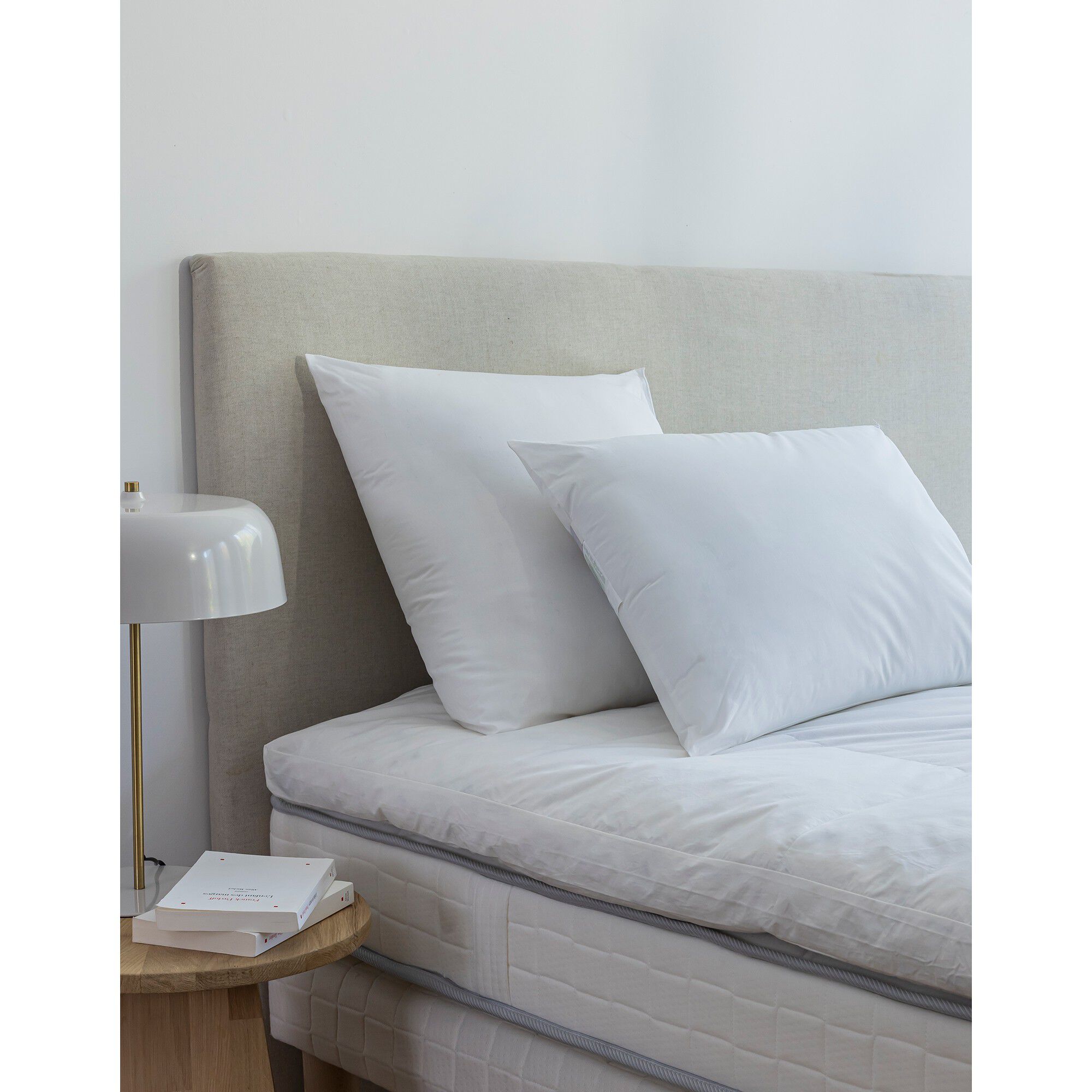 Oreiller anti-acariens Proneem ferme