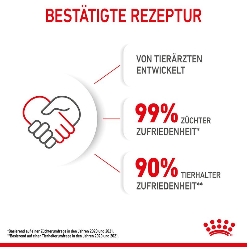 Royal Canin Kitten in Gelee zu TOP-Preisen