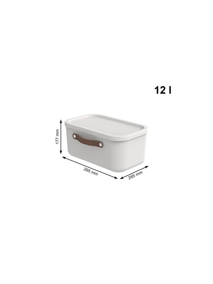 Rotho Aufbewahrungsbox 12 l MALOJA günstig kaufen onesize
