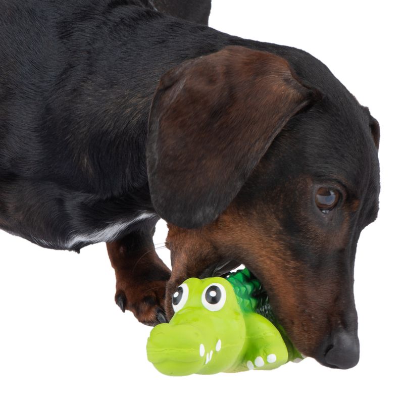 Hundespielzeug Latex Crocodylus zu TOP-Preisen
