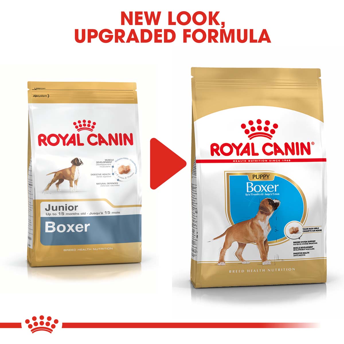 ROYAL CANIN Boxer Puppy Welpenfutter trocken kaufen bei ZooRoyal