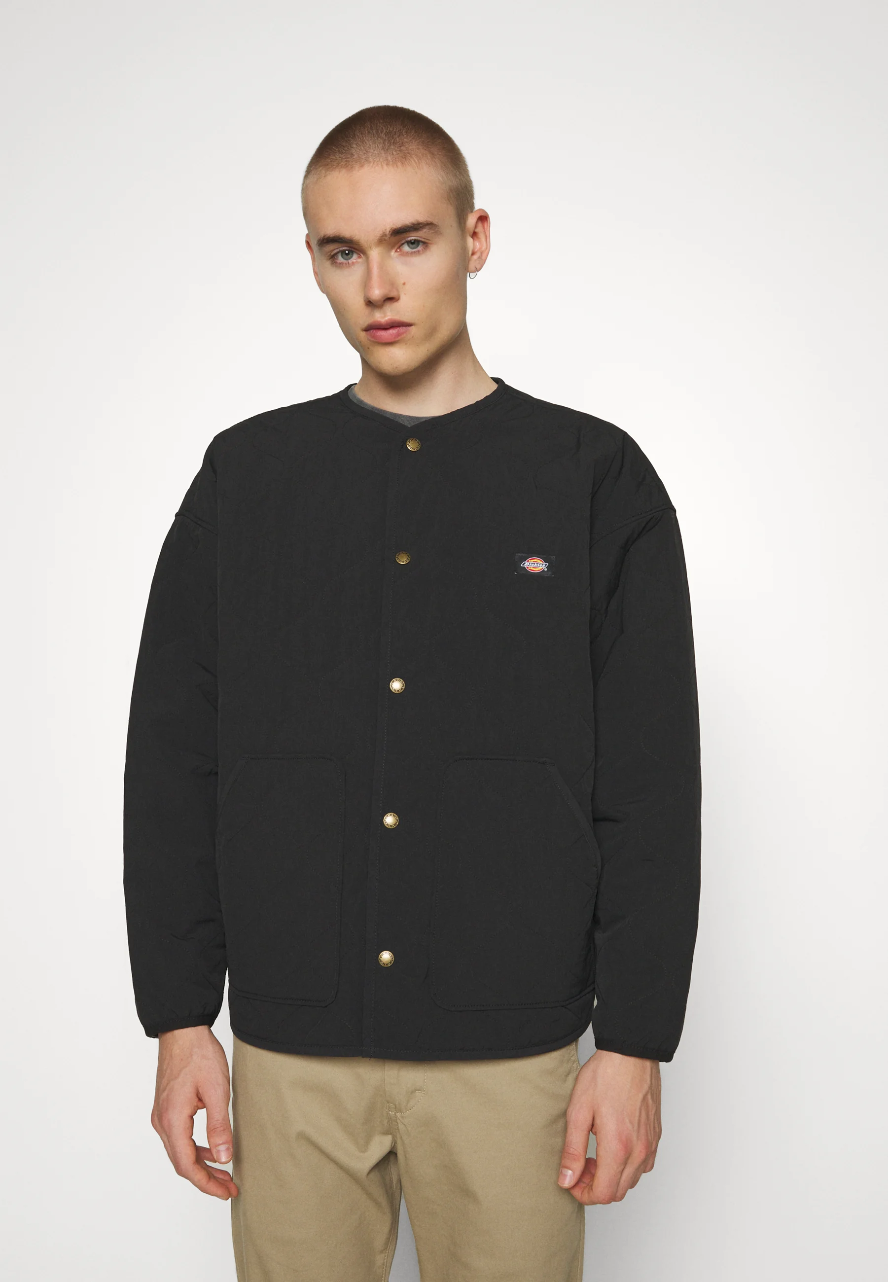 Dickies THORSBY LINER JACKET UNISEX - Chaqueta de entretiempo