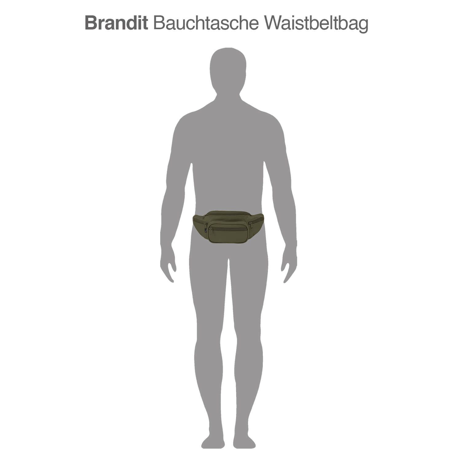 Bauchtasche Waistbeltbag