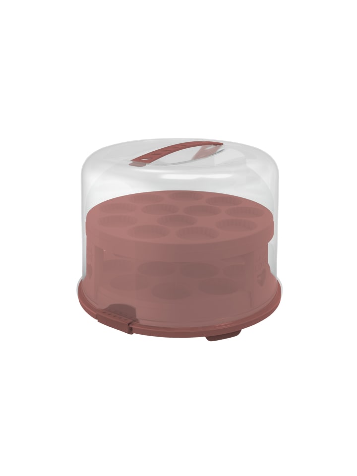 Rotho FRESH Tortenglocke hoch mit Trays in Iron rot günstig kaufen onesize