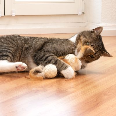 TIAKI Katzenspielzeug Sisal-Hantel Set