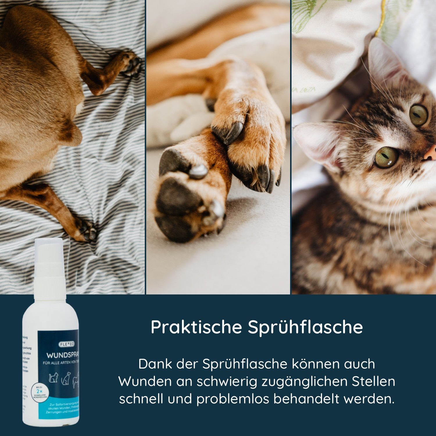 FLEXEO Wundpflaster Wundspray für Tiere (1 St), Wundreinigung Spray 75 ml