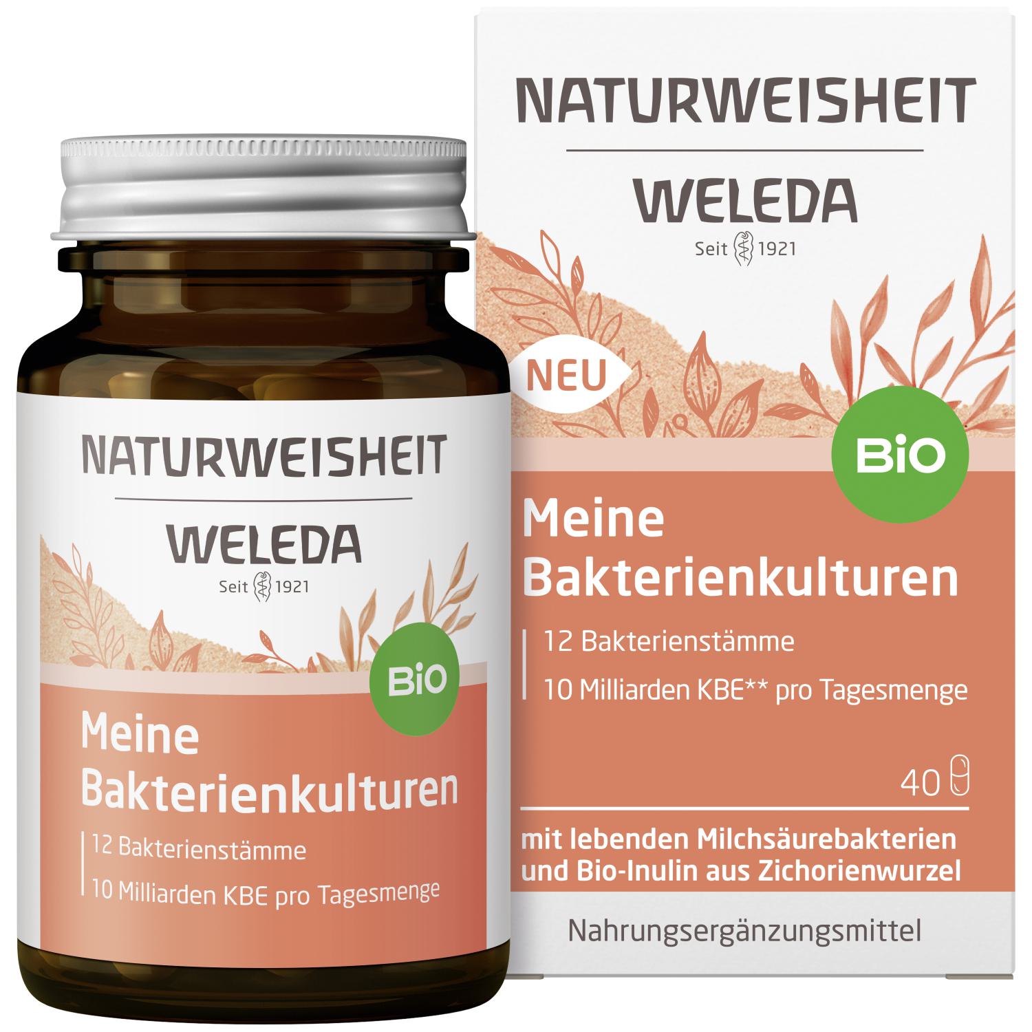 Naturweisheit Meine Bakterienkulturen