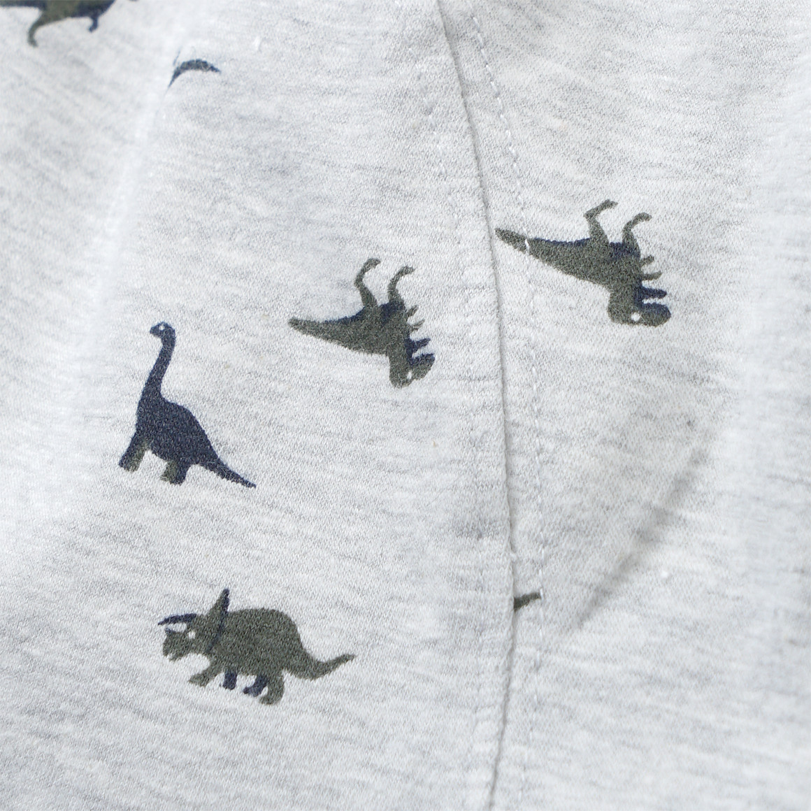 3 Jungen Boxer mit Dinosaurier-Allover