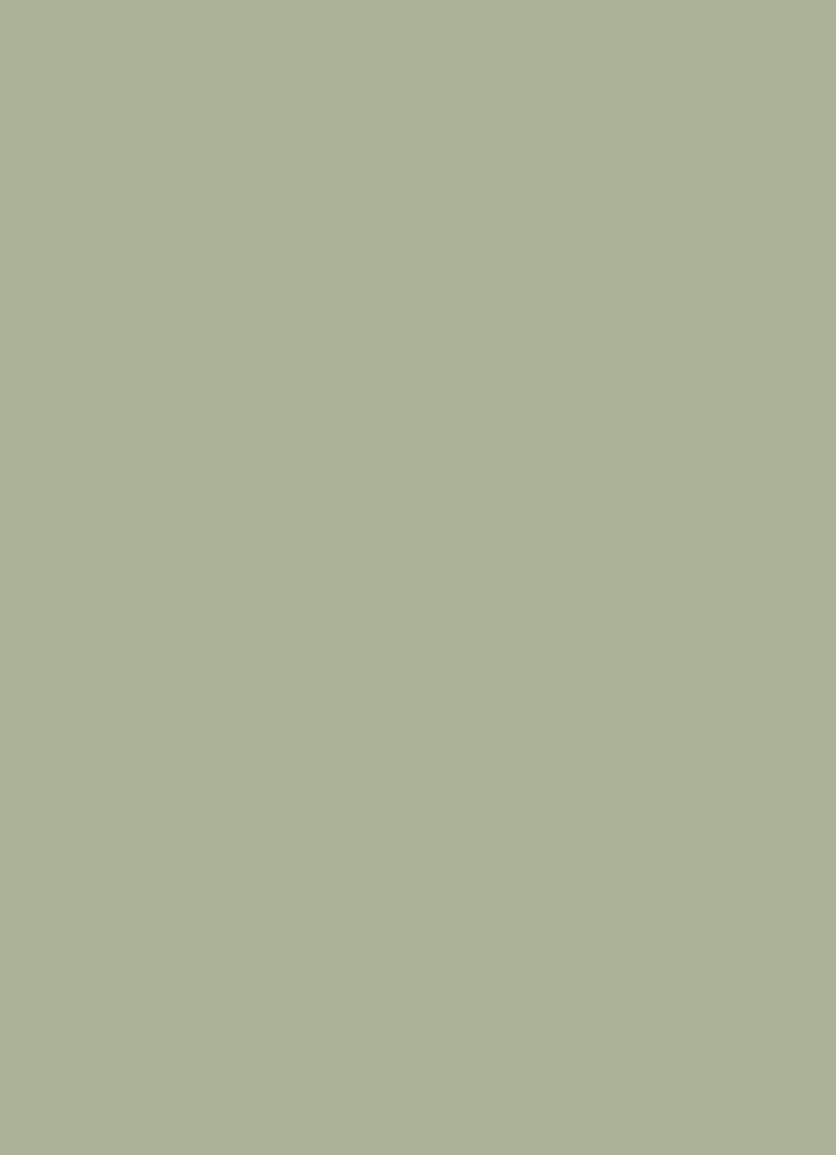 Dore & Rose Premium Seiden-Haargummis