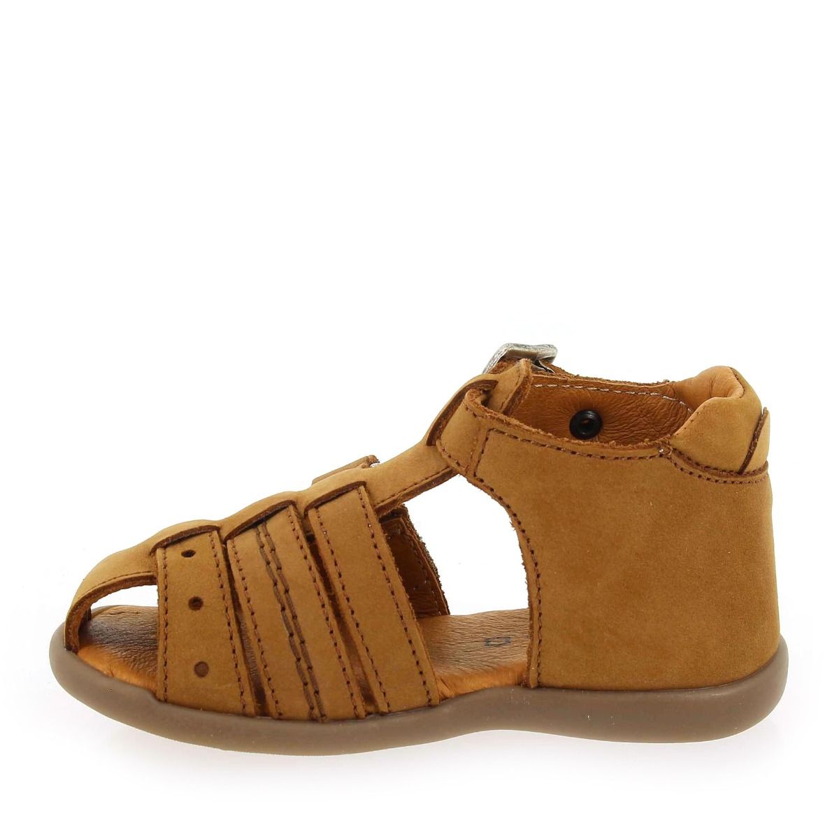 GBB  CARIGO - Camel