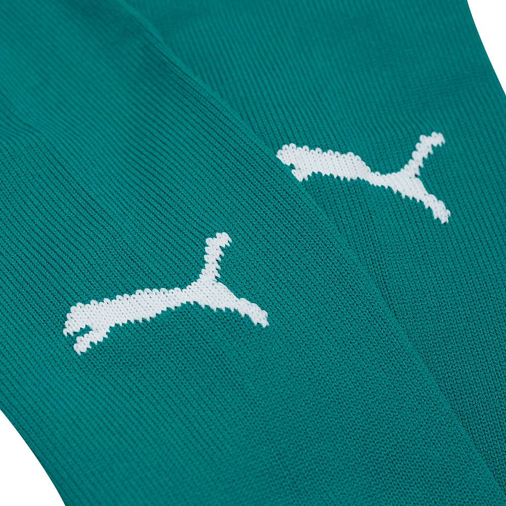 PUMA Team Stutzen 701268-05