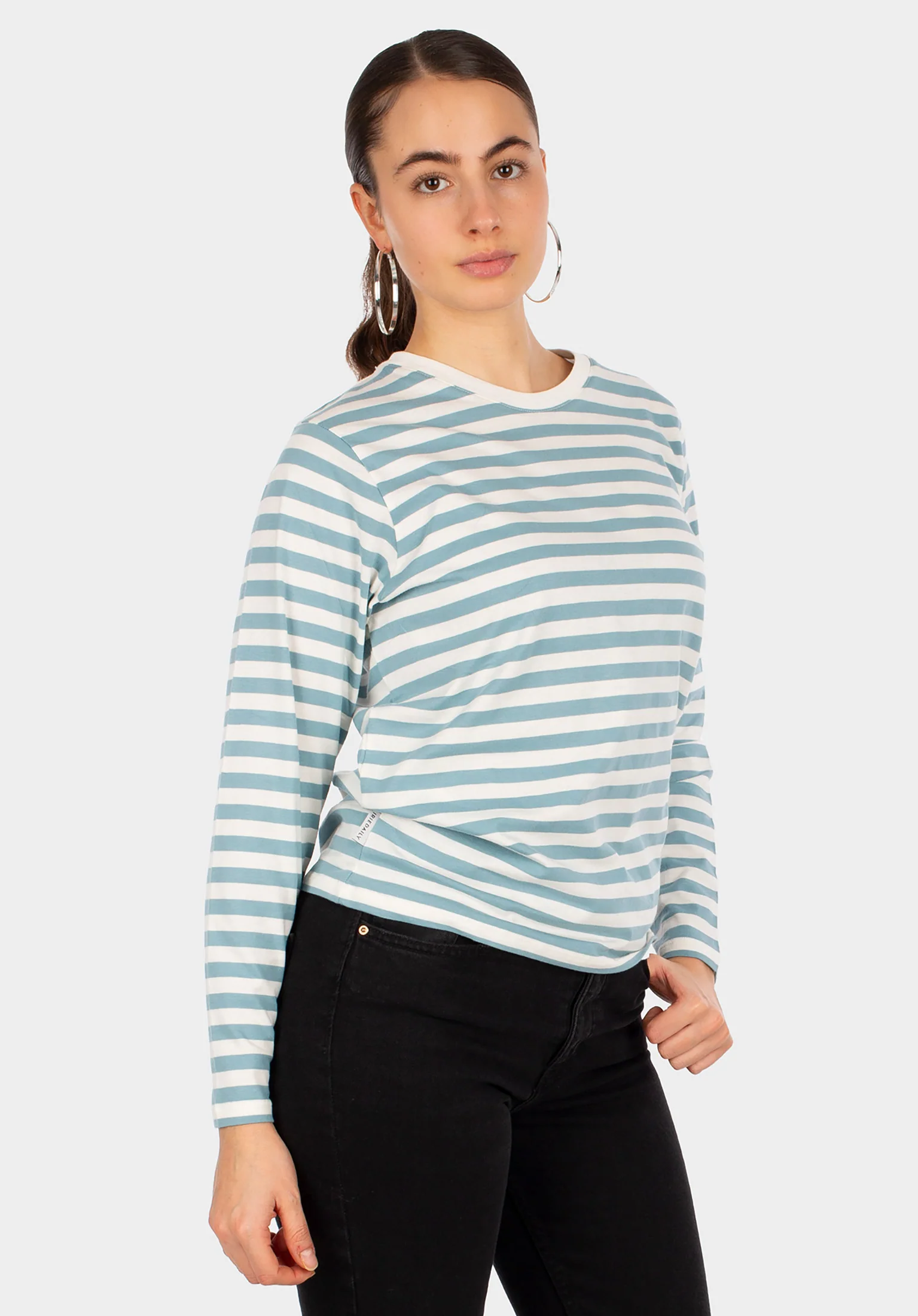 Stripe Basic