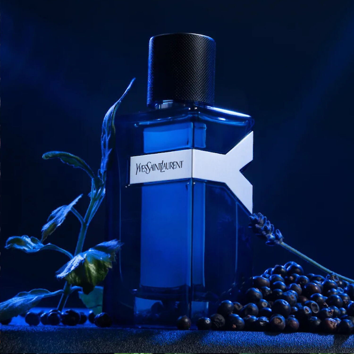 Yves St Laurent Y Eau de Parfum Intense 100 ml