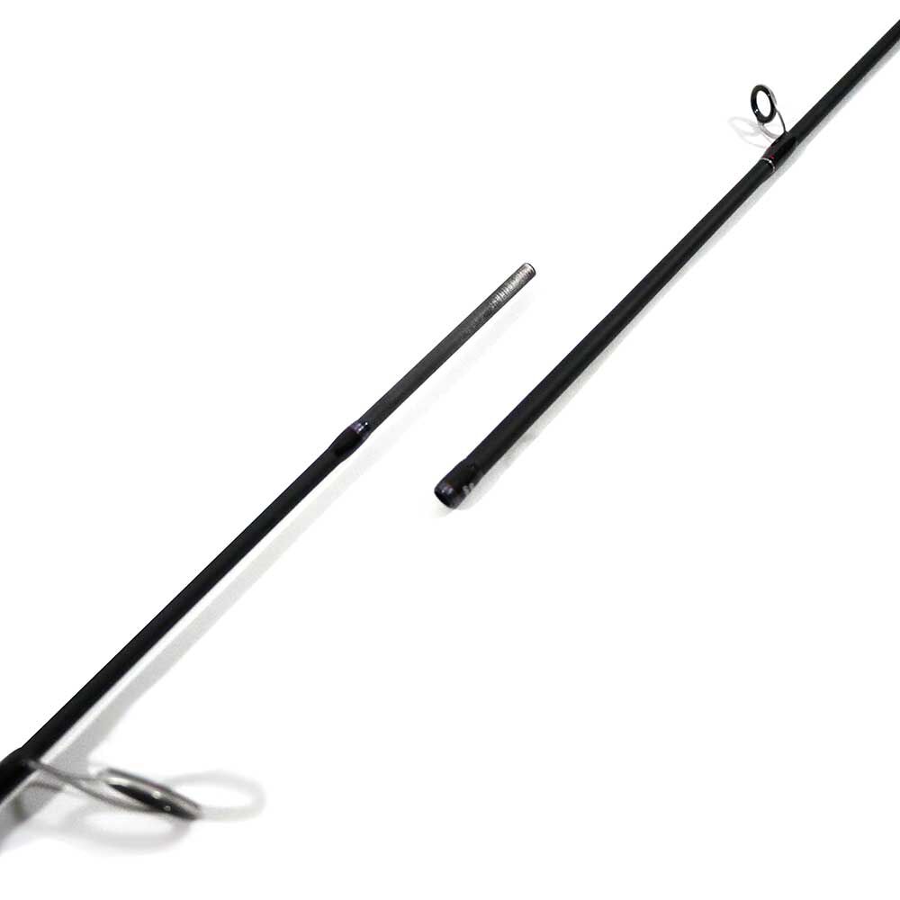 Major Craft Ultra Light Spinnrute + Daiwa 1000 Rolle