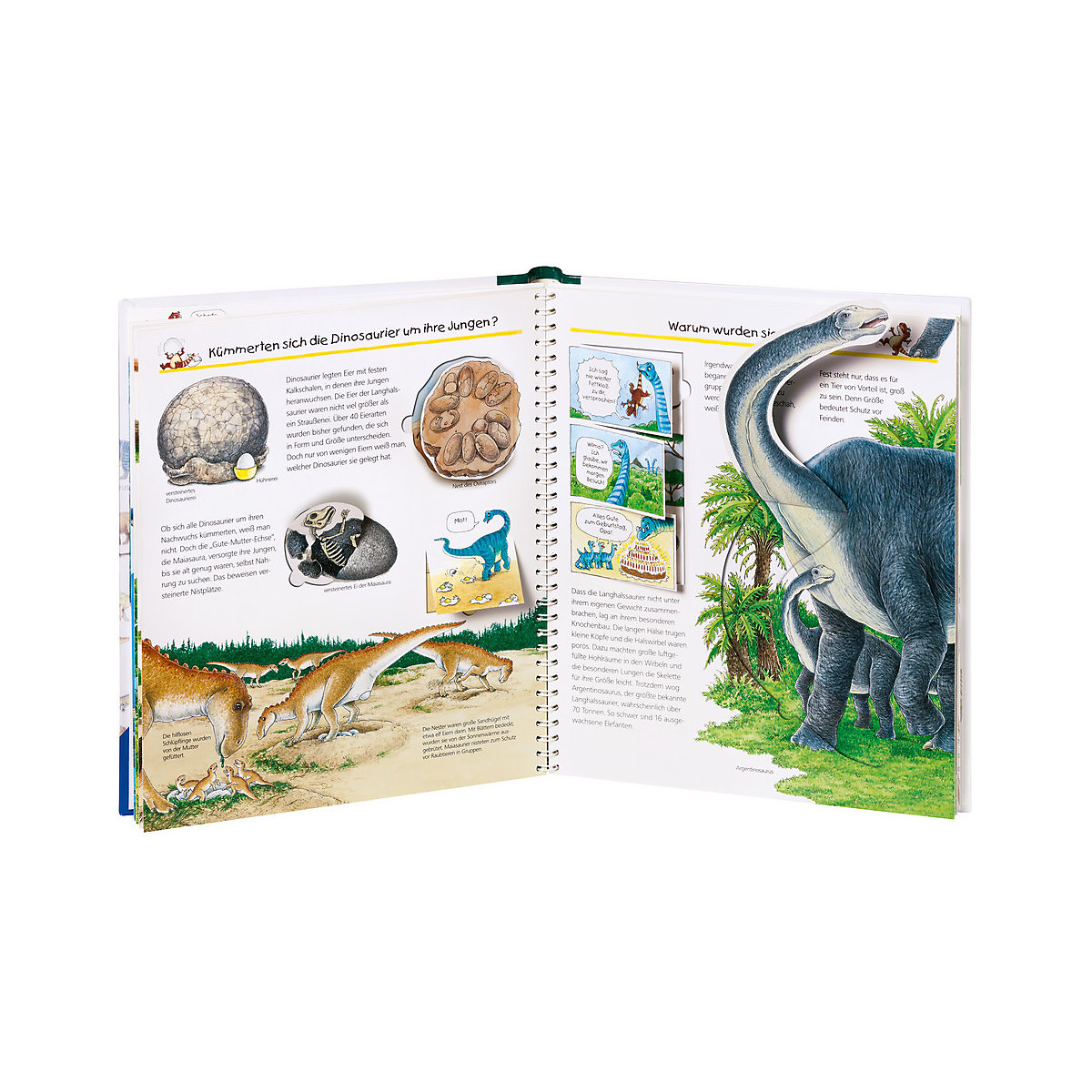WWW Wir erforschen die Dinosaurier