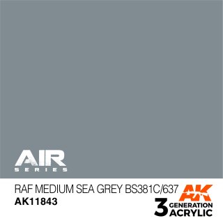 RAF Medium Sea Grey BS381C/637 (17 ml)