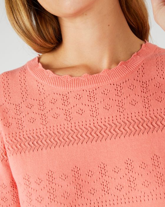 Pull ajouré en coton majoritaire