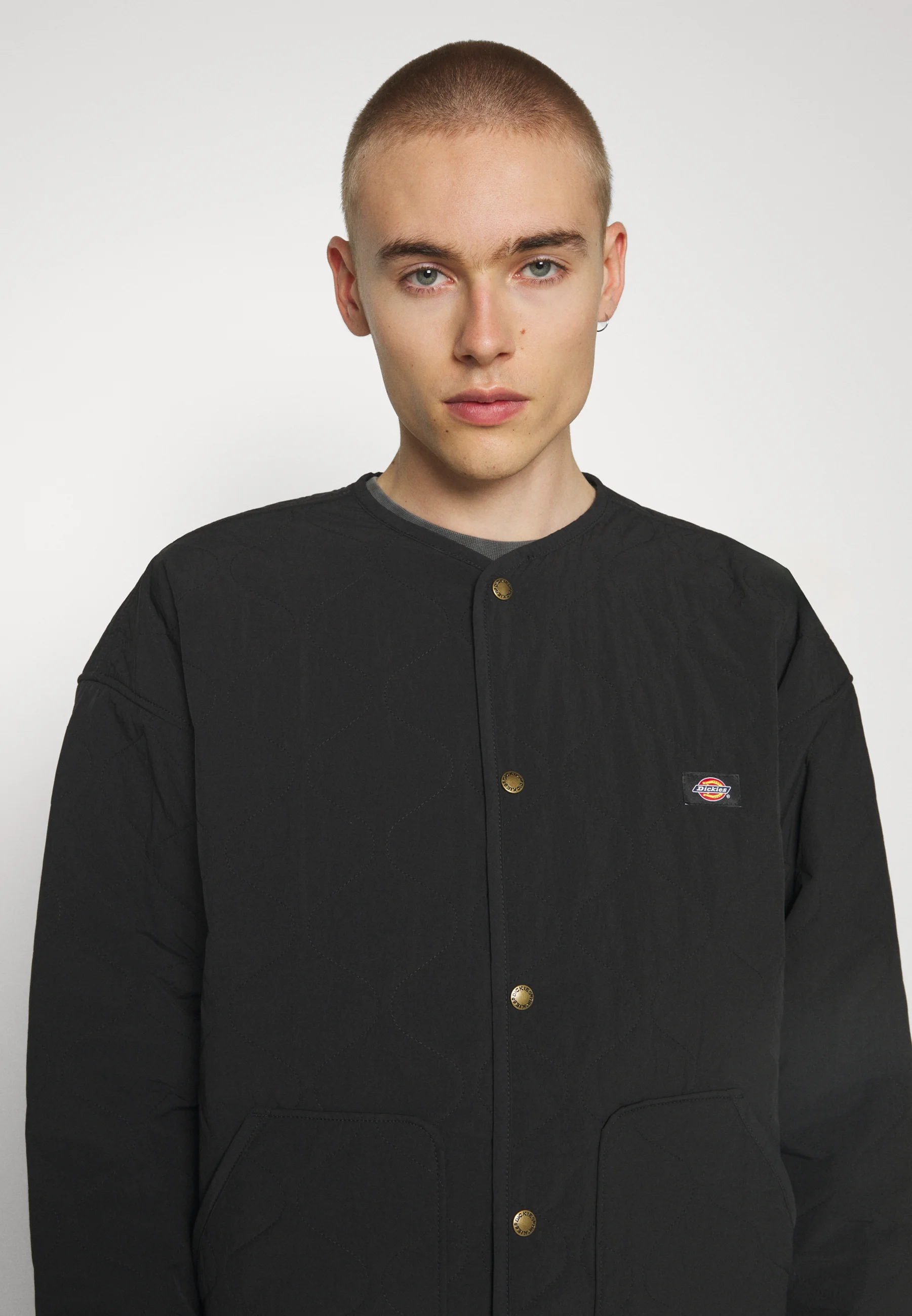 Dickies THORSBY LINER JACKET UNISEX - Chaqueta de entretiempo