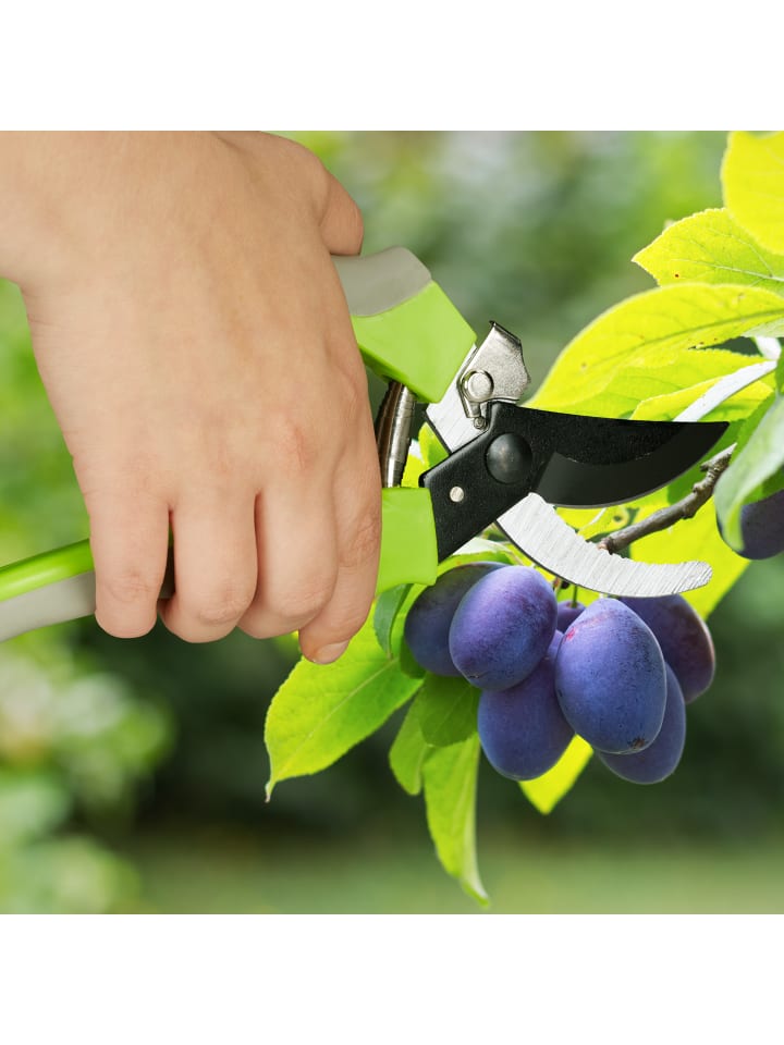 relaxdays Gartenschere in Grün/Grau - (L)23 cm günstig kaufen onesize