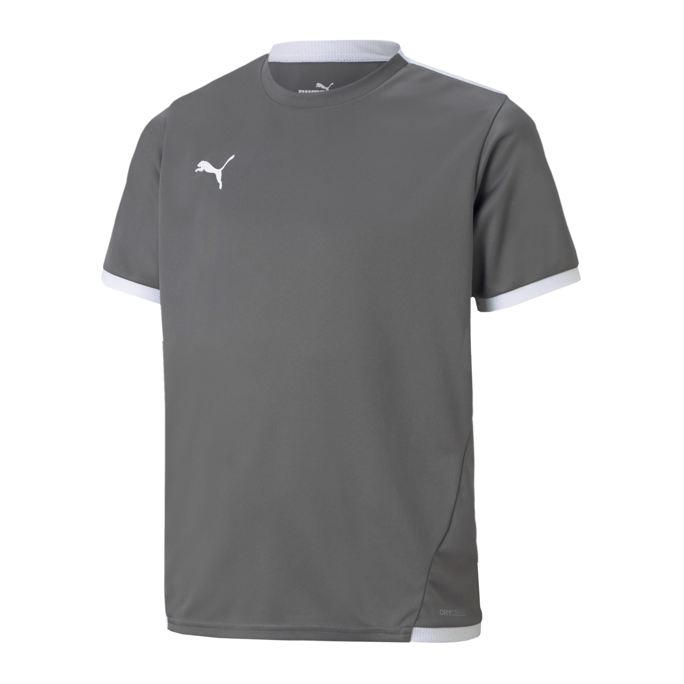PUMA teamLIGA Trikot Kids Grau F13