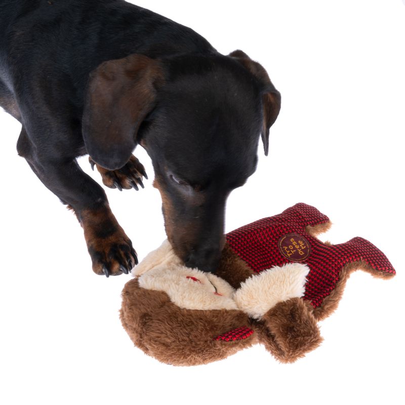 TIAKI Winkie Monkey Hundespielzeug zu TOP-Preisen