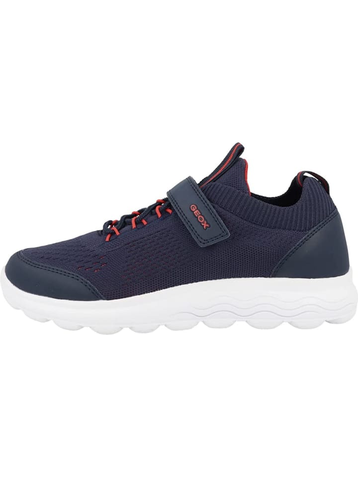 Geox Jungen Halbschuhe für Jungen in blau in blau günstig kaufen