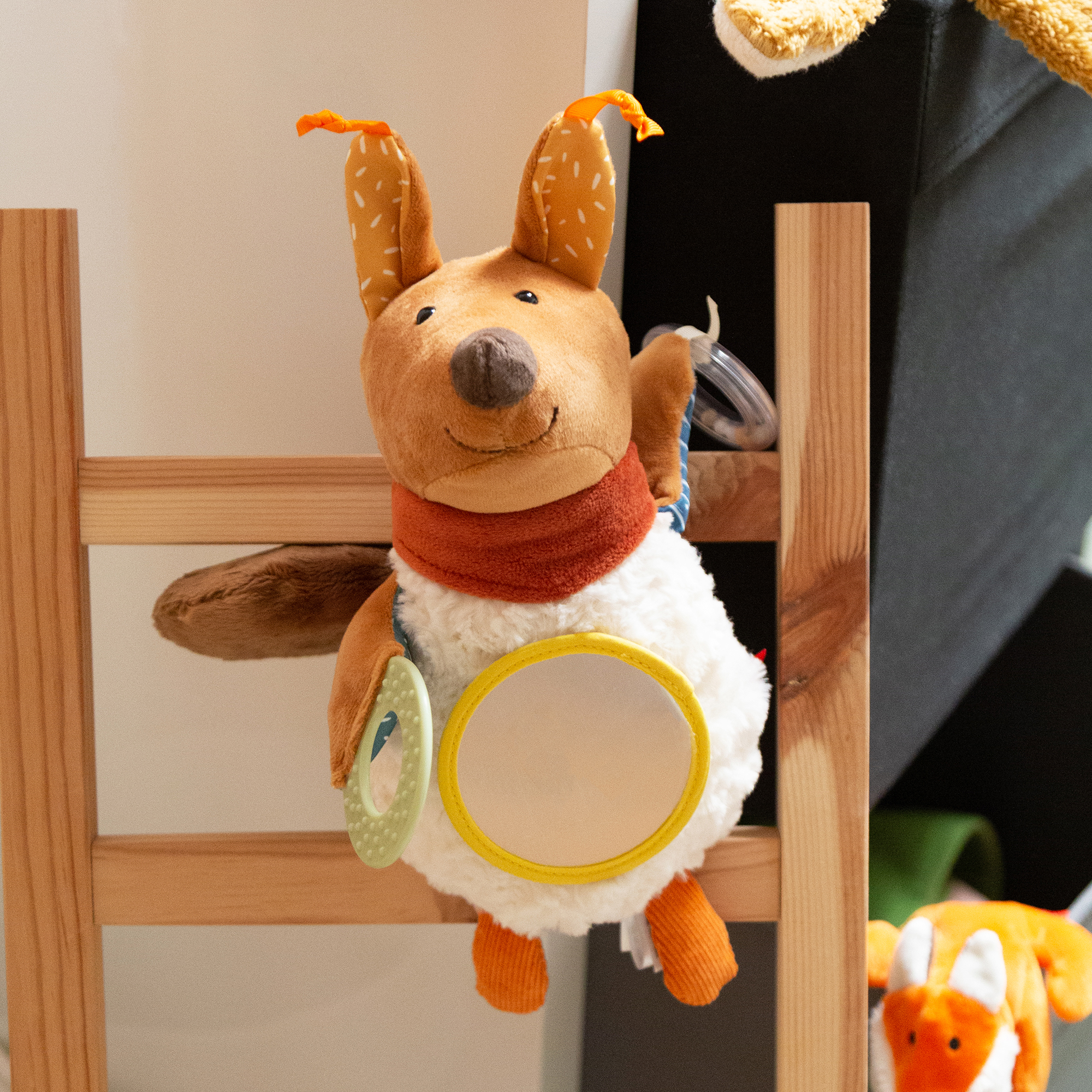 Baby Aktiv-Eichhörnchen