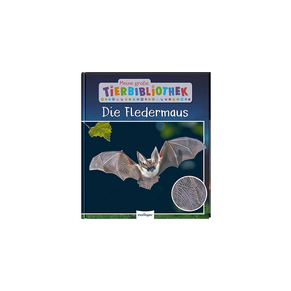 Meine große Tierbibliothek: Die Fledermaus