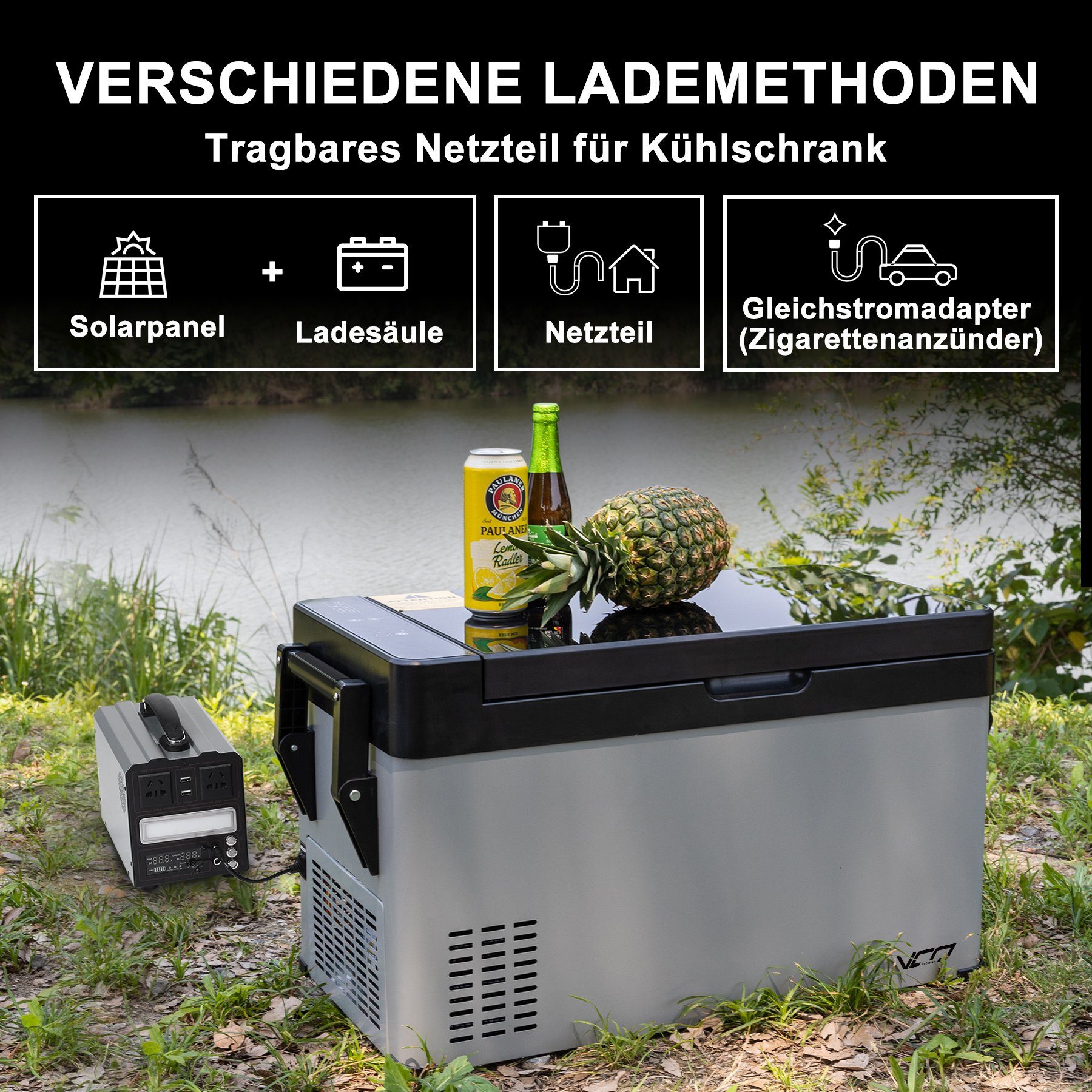 CLEESINk Kühlbox Kompressor kühlbox auto 38L 12V/240V tragbare Kühlschrank mit Griff, 38 l