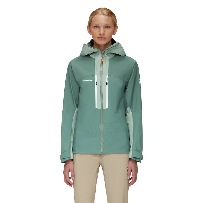 Mammut Taiss Hooded Hardshelljacke Damen