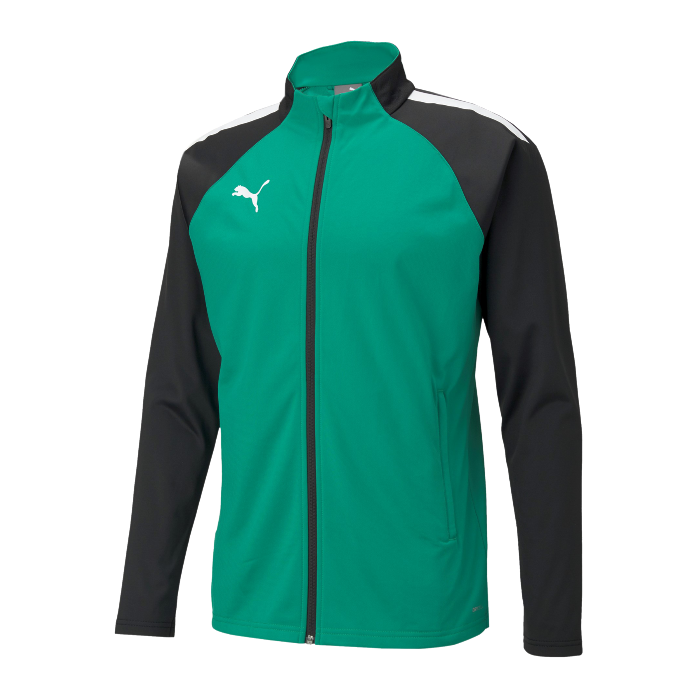 PUMA teamLIGA Trainingsjacke Grün Schwarz F05