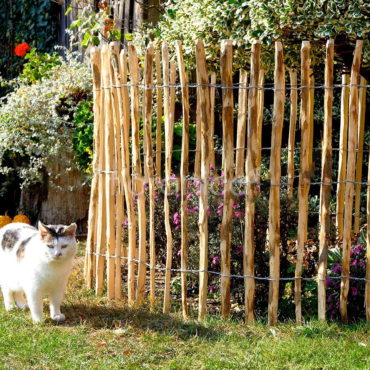 Floranica Staketenzaun Haselnuss Gartenzaun 1 lfm, Höhe 90 cm, Lattenabstand 4-6 cm Rollzaun Hundezaun