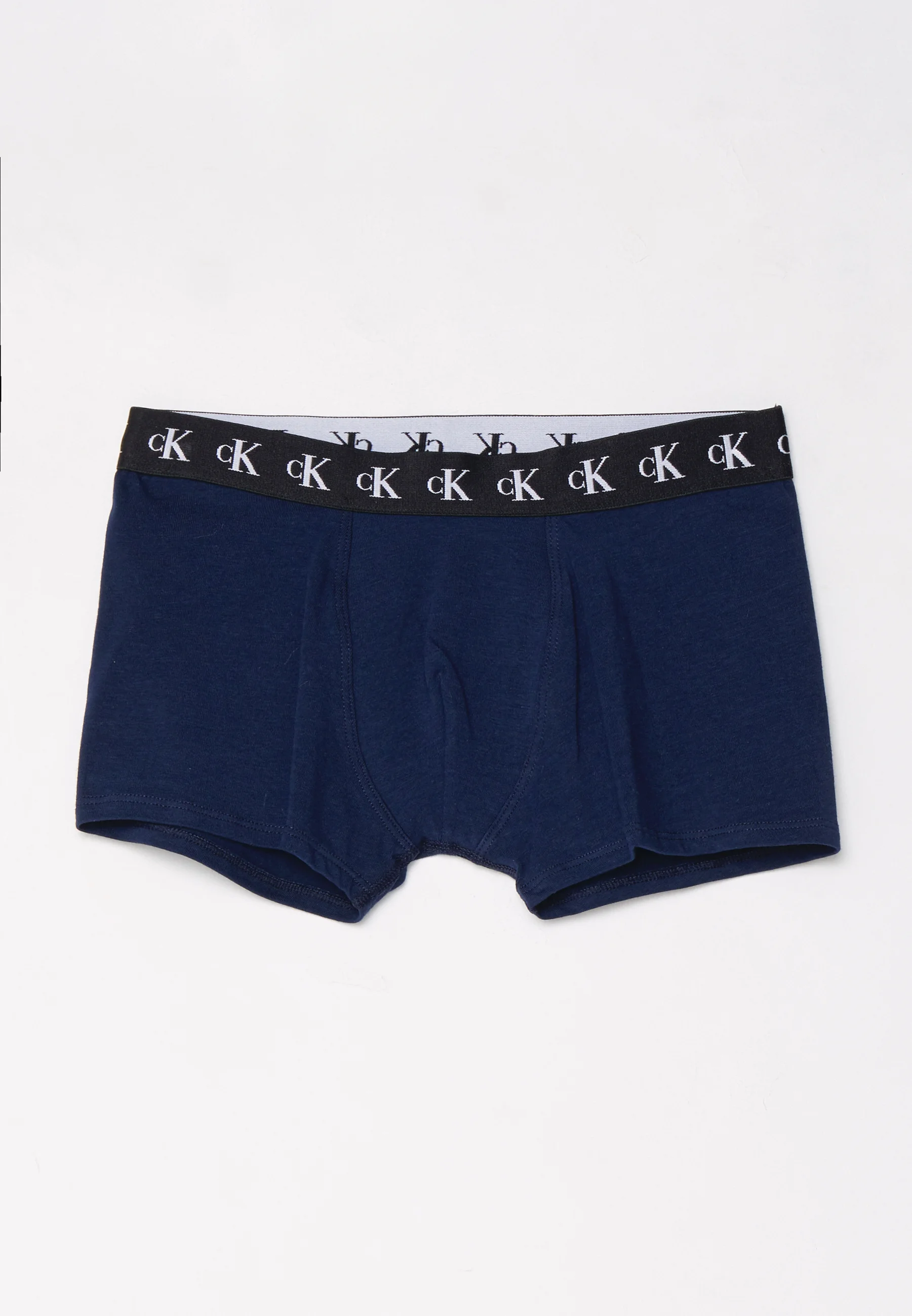 Calvin Klein Underwear TRUNK PACK DE 2 - Culotte