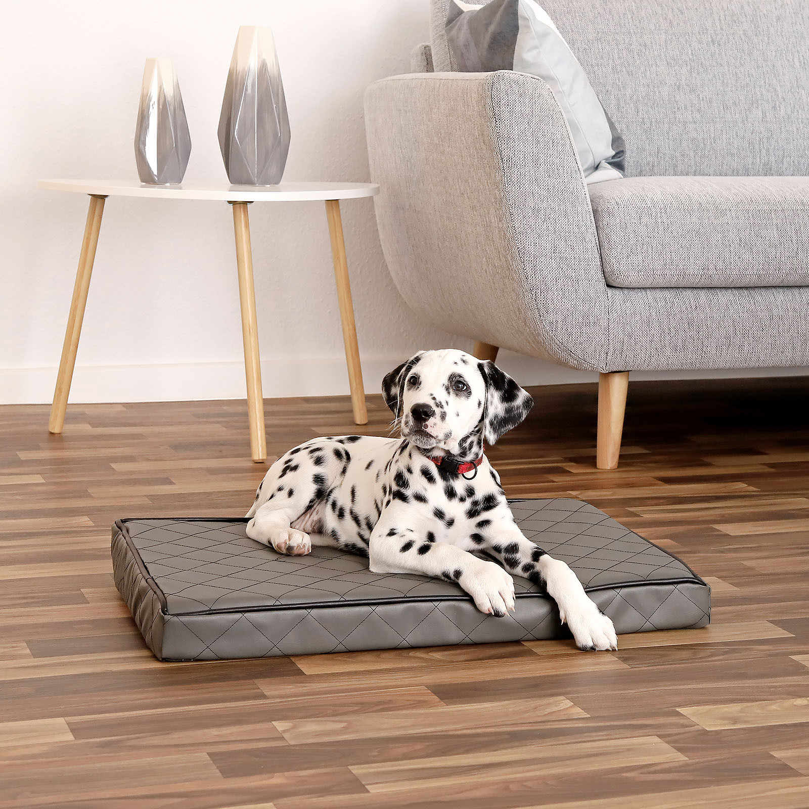 Lionto Hundebetten Lionto Orthopädische Hundematte S