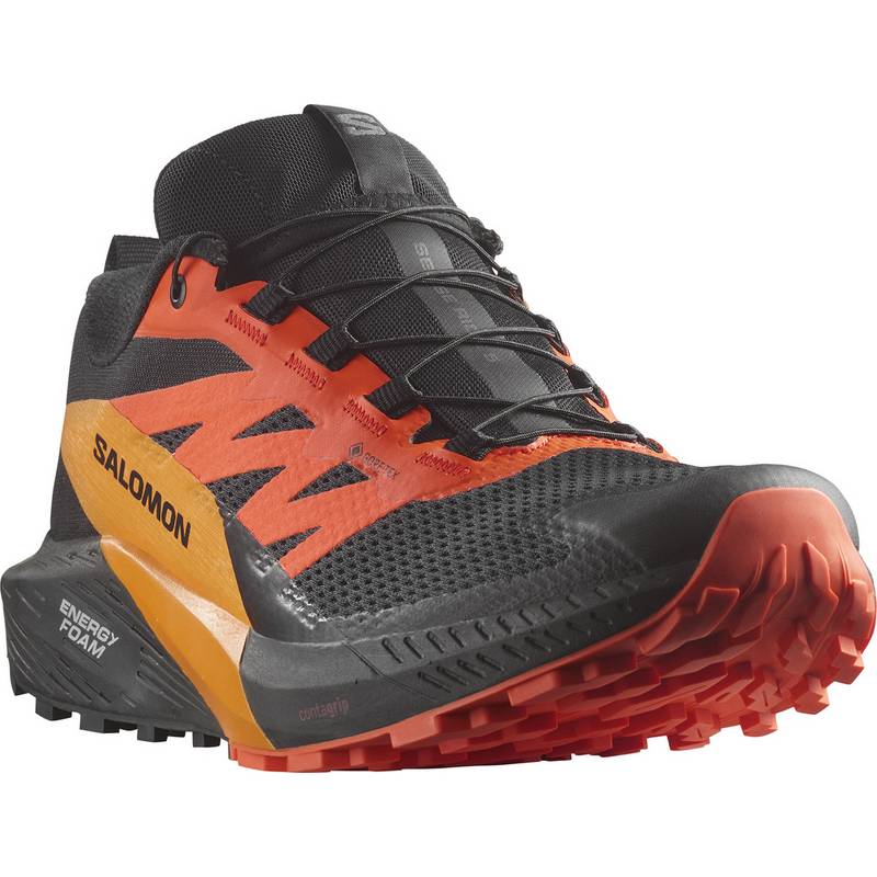 Salomon SENSE RIDE 5 Laufschuhe Herren