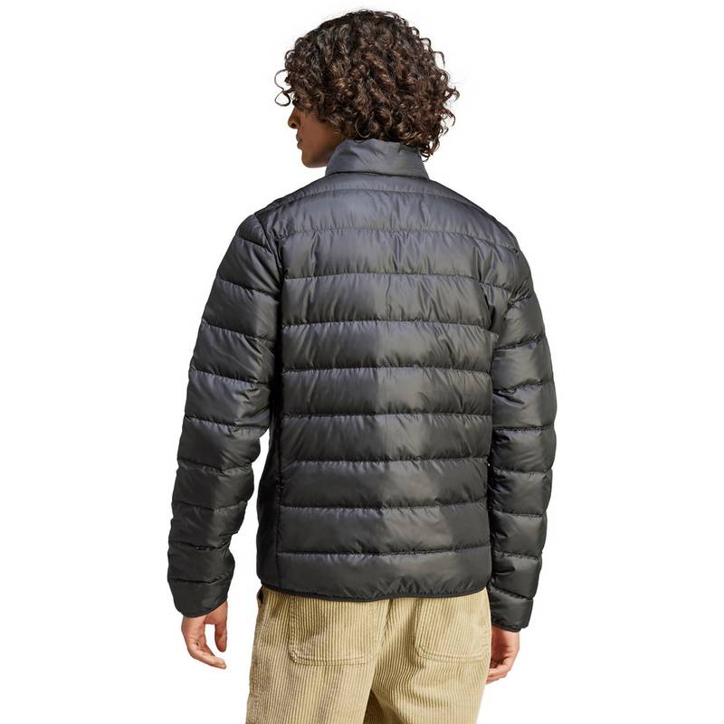 adidas Essentiel Steppjacke Herren