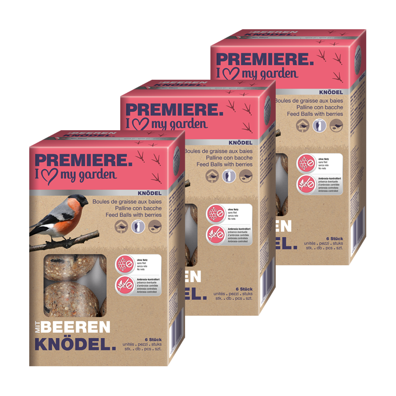 PREMIERE Meisenknödel PREMIERE Beeren-Knödel 3x6 Stück