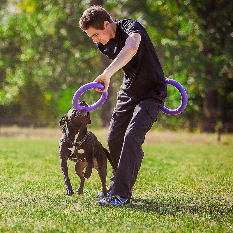Ferplast Hundespielzeug Puller zu TOP-Preisen