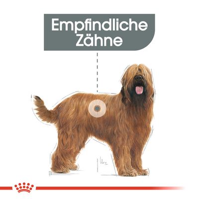 Royal Canin CCN Dental Care Maxi