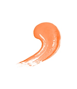 Absolute New York Intense Lip Polish Lip Paint Lipgloss-6 g