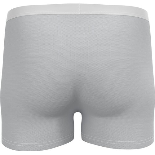 HERREN BOXERSHORTS BOXER ACTIVE F-DRY LIGHT ECO