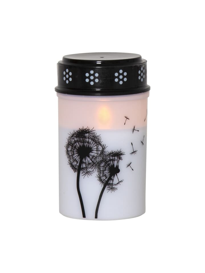STAR Trading LED Grabkerze 'Dandelion', Timer, 12cm günstig kaufen onesize