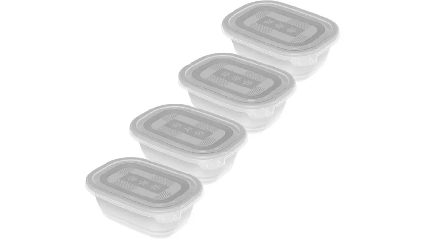 rotho Gefrierdosen Set Freeze 4-tlg. 0,5l transparent